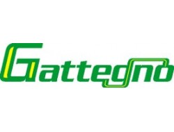 GATTEGNO GATTEGNO